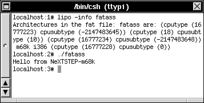 Terminal output. The 'lipo' command says the binary has 6 architectures, but can only identify m68k and i386. Running the binary outputs 'Hello from NeXTSTEP-m68k!'
